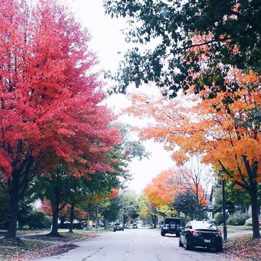 fall foliage hinsdale