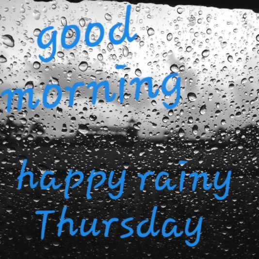 Happy Rainy Thursday