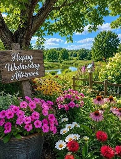 Happy Wednesday afternoon