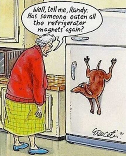 fridge-magnet-dog1