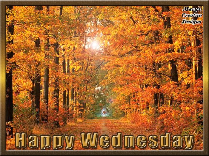 Happy Wednesday fall