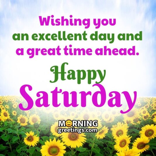 Good afternoon Saturday