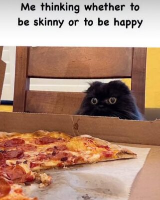 skinny or happy