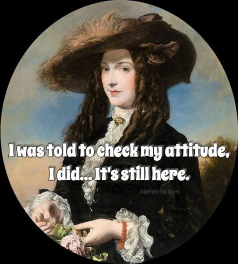 check attitude
