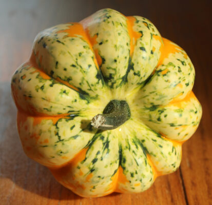 Sun Gourd Top