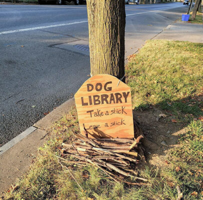 dog library