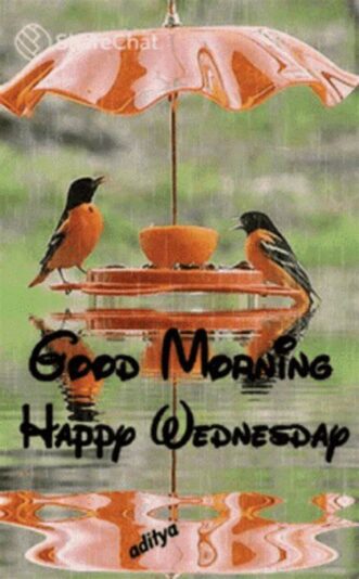 Happy Rainy Wednesday 2