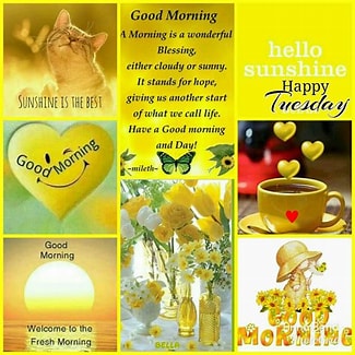 Sunny Tuesday collage