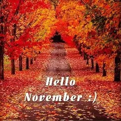 Hello November 2