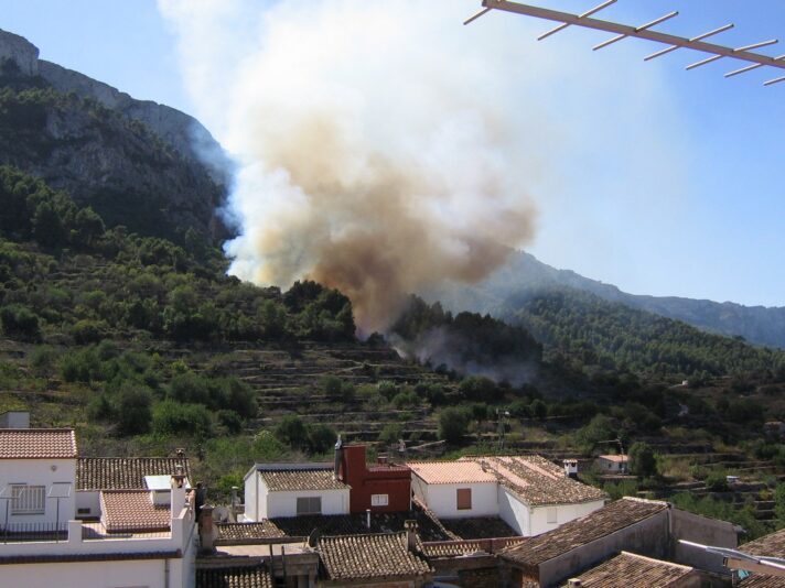 Local Forest Fires