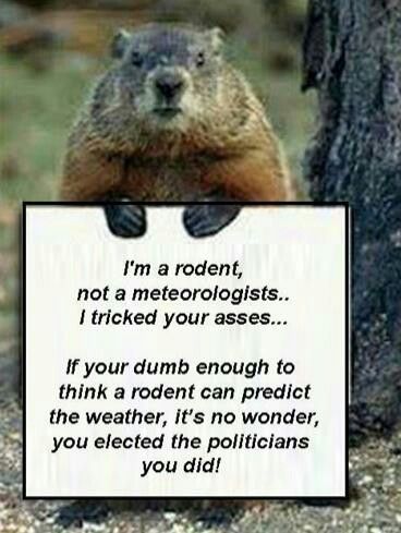 groundhog day
