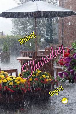 Rainy Thursday