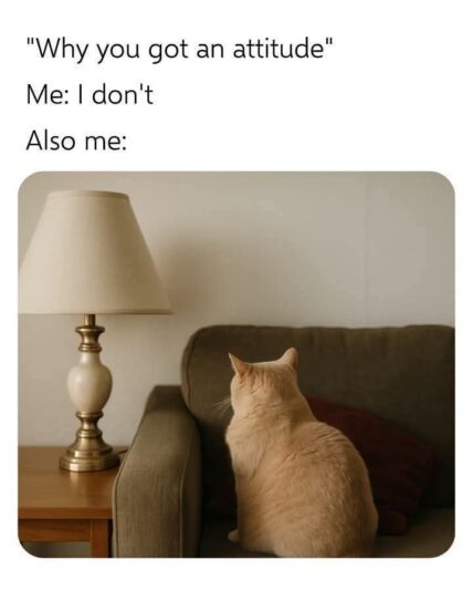 attitude