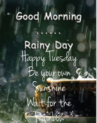 Happy Rainy Tuesday