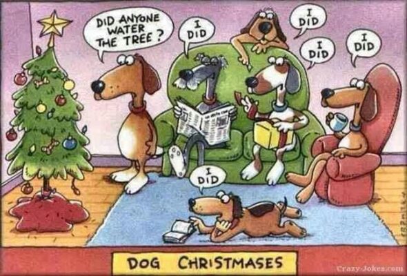 joke xmas 2025 8