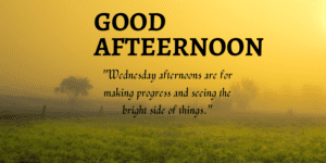 Good afternoon Wednesday