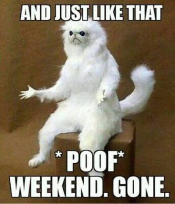 sunday-memes-2-360x420-2506609701