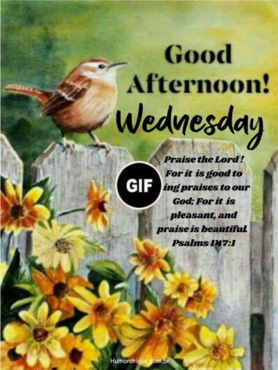 Good afternoon Wednesday