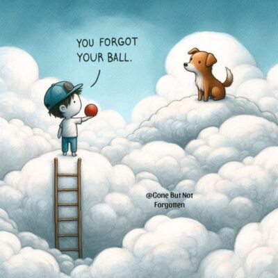 love group dog and boy and ball