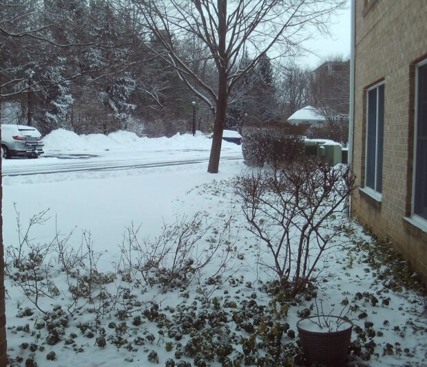 Snow today at my condo