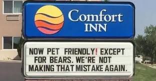 Bears.