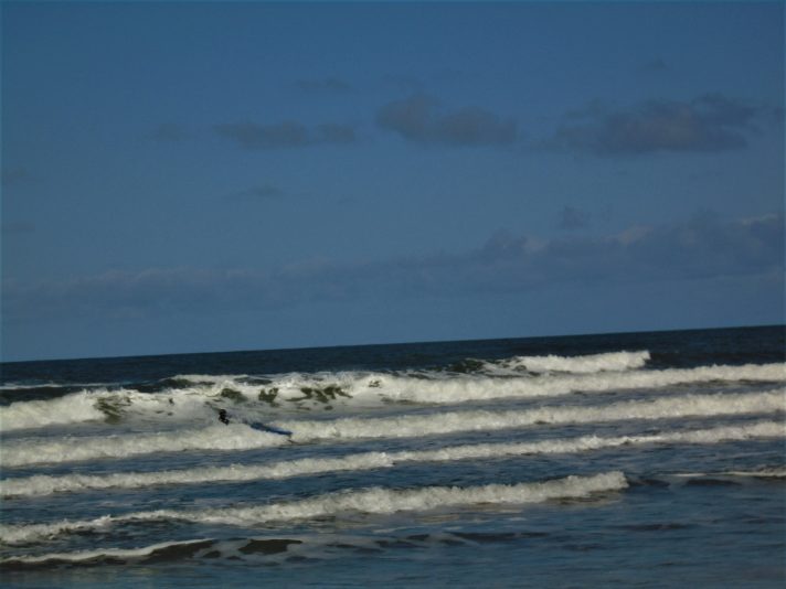 SALTBURN SURF'S UP