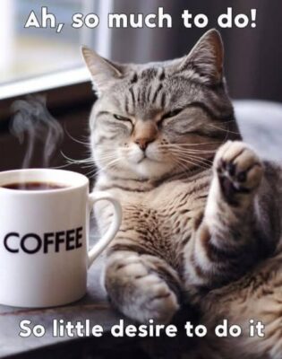 joke coffee