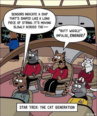 star trek cats