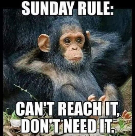 sunday lazy cant reach don't need