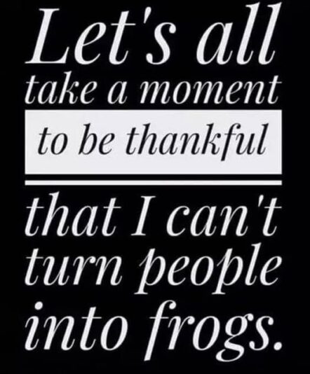frogs4211_n