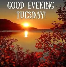 Good Evening Tuesday 1