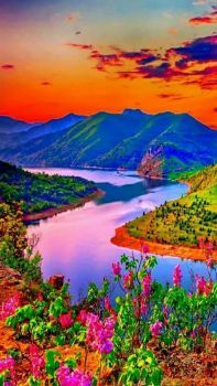 9E01C09C-CF2D-4B88-B5CE-12422EA7E96A