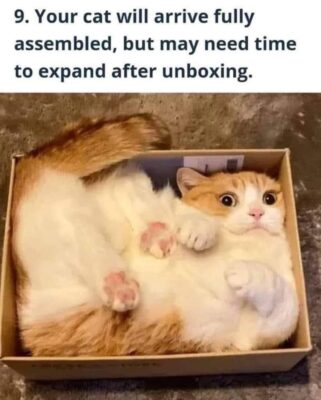 cat pkg