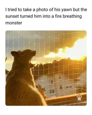 fire breathing squirrel