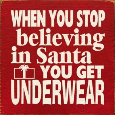 Funny-Christmas-Quotes-3-3522421619