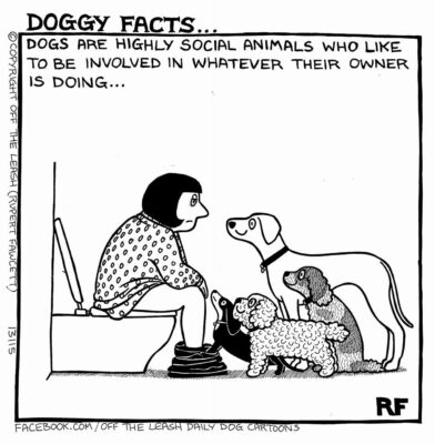 doggy facts