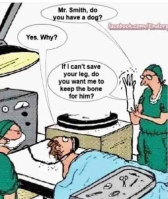 joke bone for dog