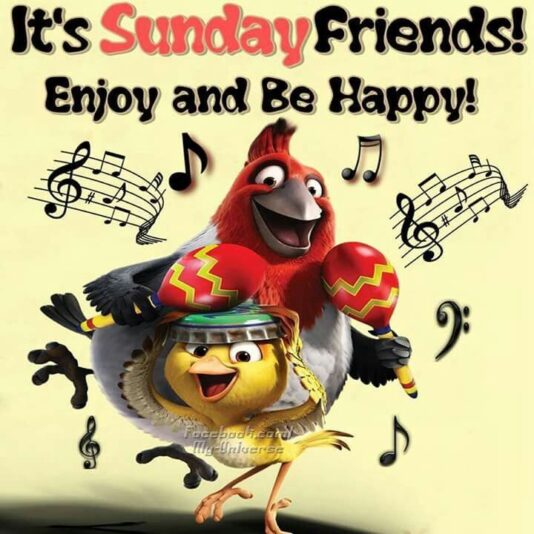 sunday chicken music