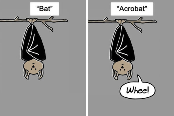 acrobat