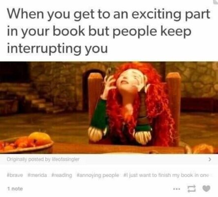 interrupting your Book