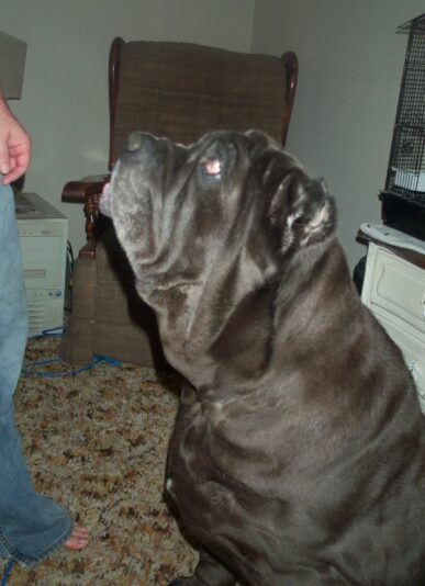 07082005sterling2