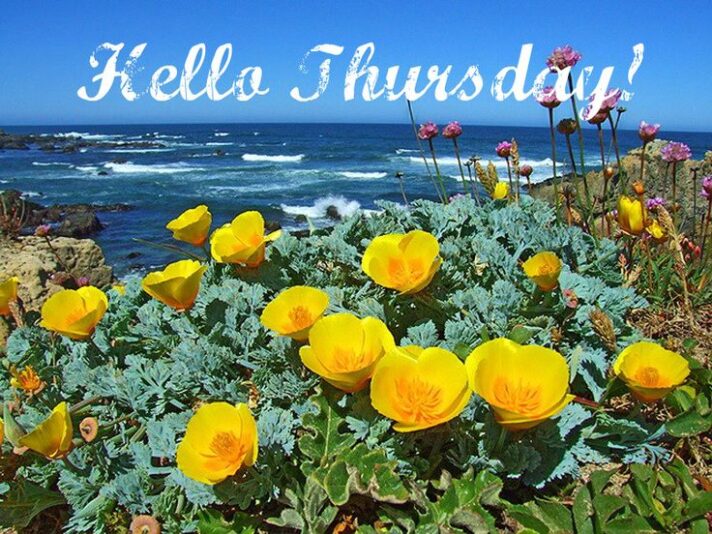 Hello Thursday Flowers on the beach