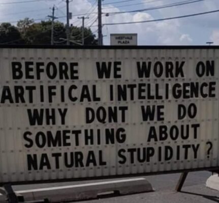 natural stupidity