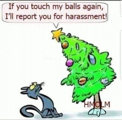 joke christmas cat