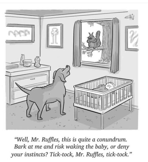 dog vs squirell