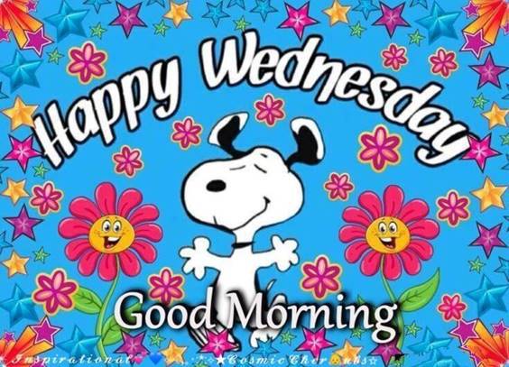 wednesday-meme-animals