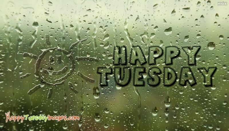 Happy Tuesday