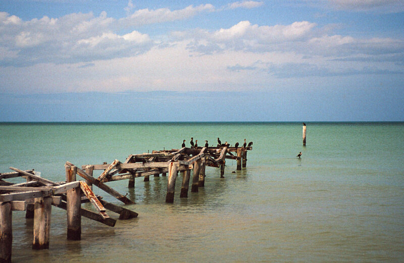 Pier With Cormorants