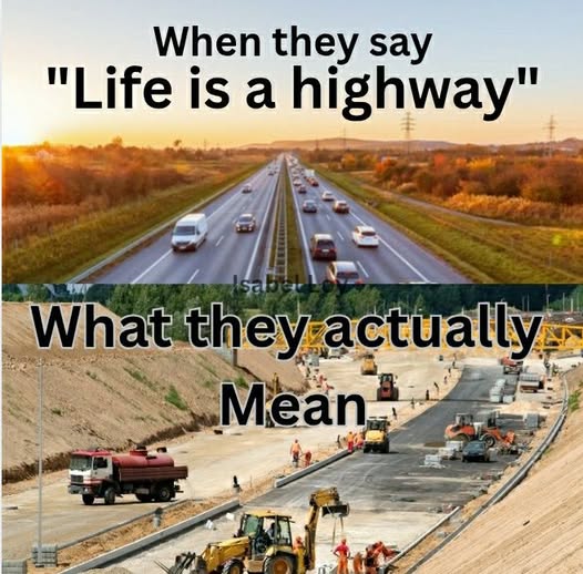 life 643_n