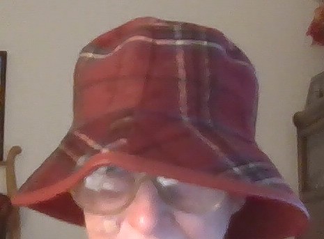 Plaid Hat